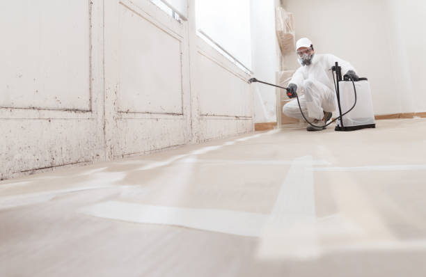 24/7 Emergency Black Mold Remediation experts in Pulaski, VA
